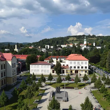 Hotel Vsacan *
