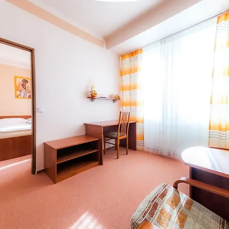 Hotel Vsacan *