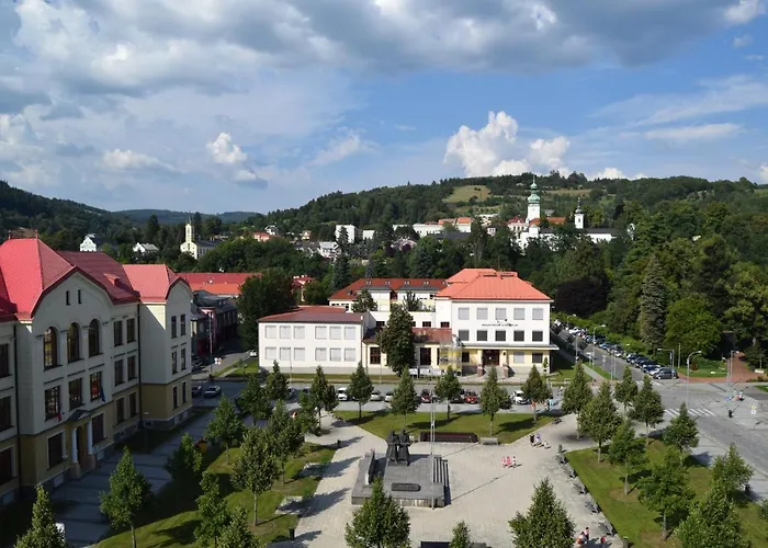 Hotel Vsacan *