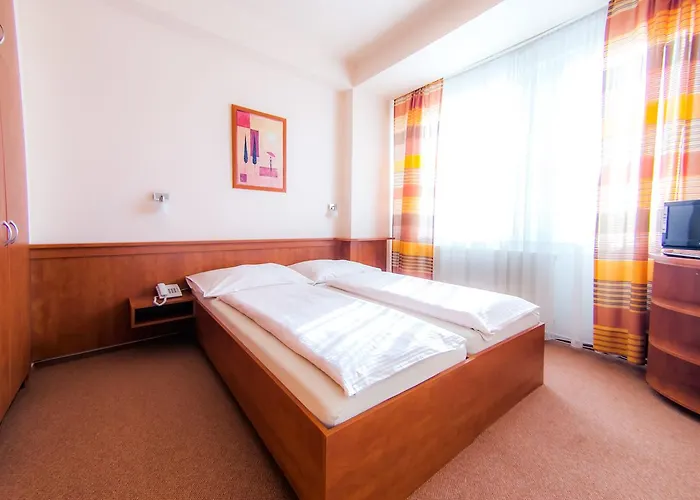 Hotel Vsacan *